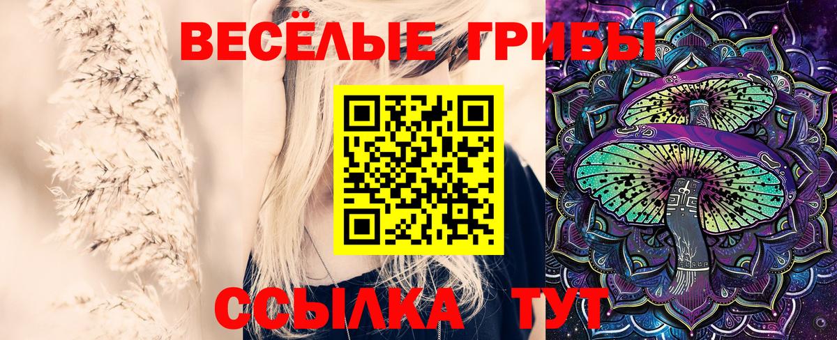 Обнинск  Галлюциногенные грибы прущие грибы  Вход с VPN 